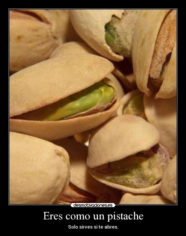 Eres como un pistache - 