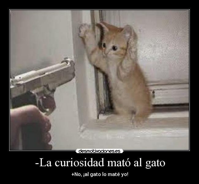 -La curiosidad mató al gato -