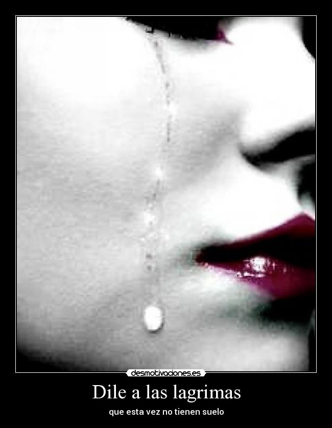 Dile a las lagrimas - que esta vez no tienen suelo