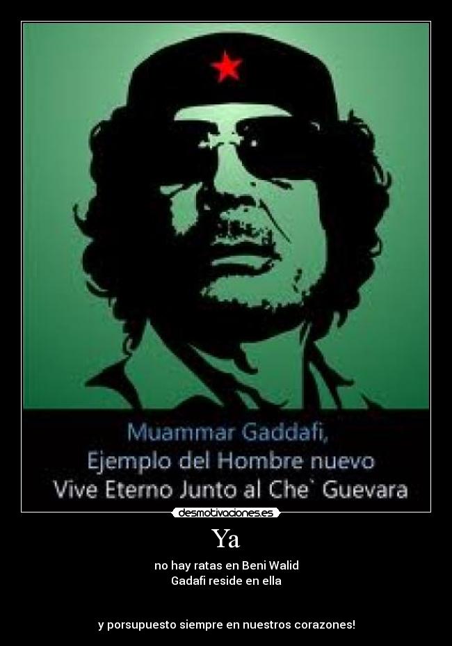 Ya - no hay ratas en Beni Walid
Gadafi reside en ella
y porsupuesto siempre en nuestros corazones!