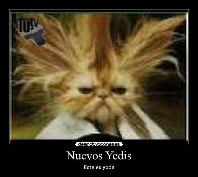 Nuevos Yedis - 