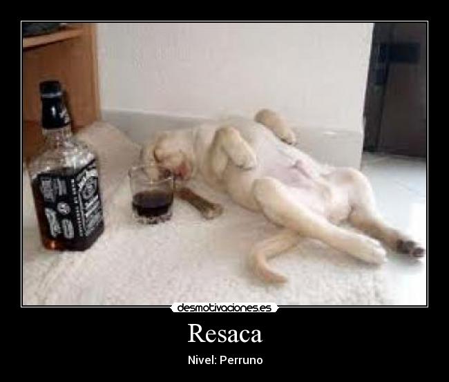 Resaca - Nivel: Perruno
