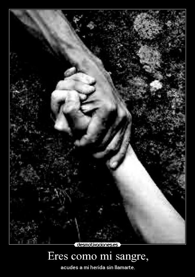 Eres como mi sangre, - acudes a mi herida sin llamarte.