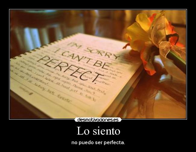 carteles sorry cant perfect desmotivaciones