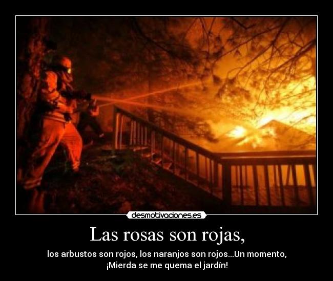 Las rosas son rojas, - los arbustos son rojos, los naranjos son rojos...Un momento,
¡Mierda se me quema el jardín!