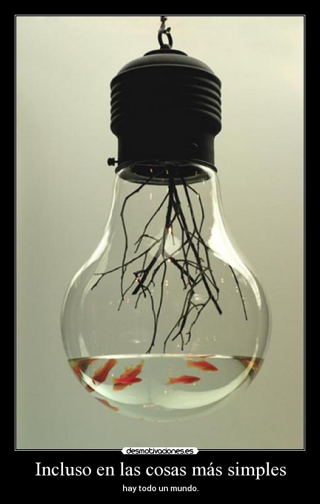 Incluso en las cosas más simples - hay todo un mundo.