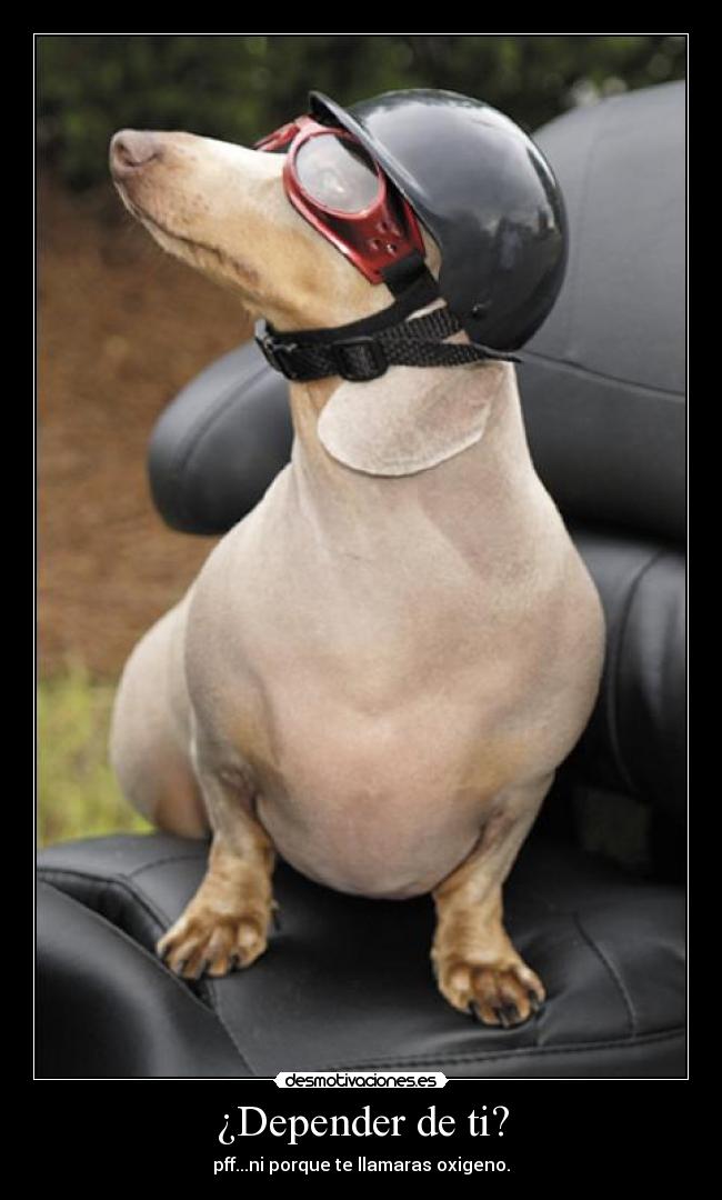 ¿Depender de ti? - pff...ni porque te llamaras oxigeno.