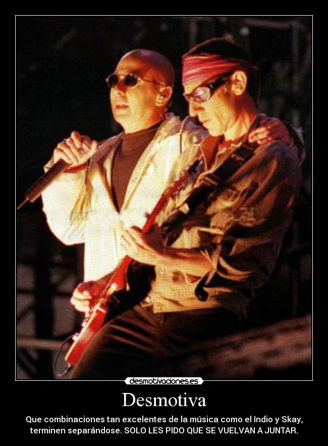 carteles indio solari skay beilinson redonditos ricota rock nacional argentino desmotivaciones