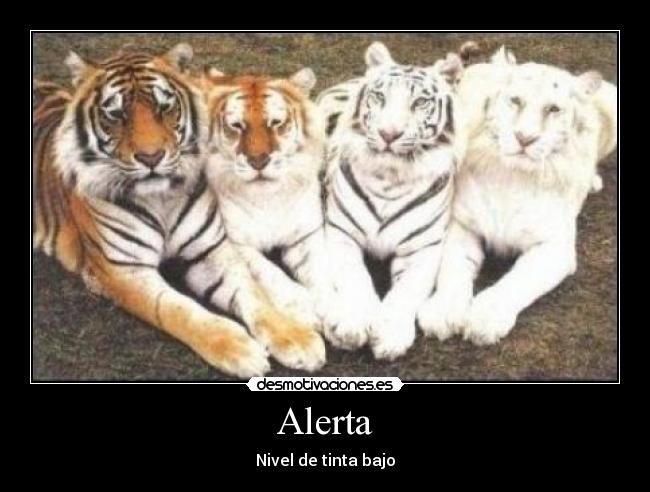 Alerta - 