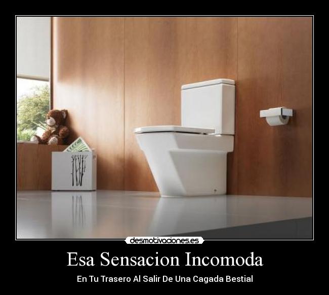 carteles banos zan772 trasero desmotivaciones