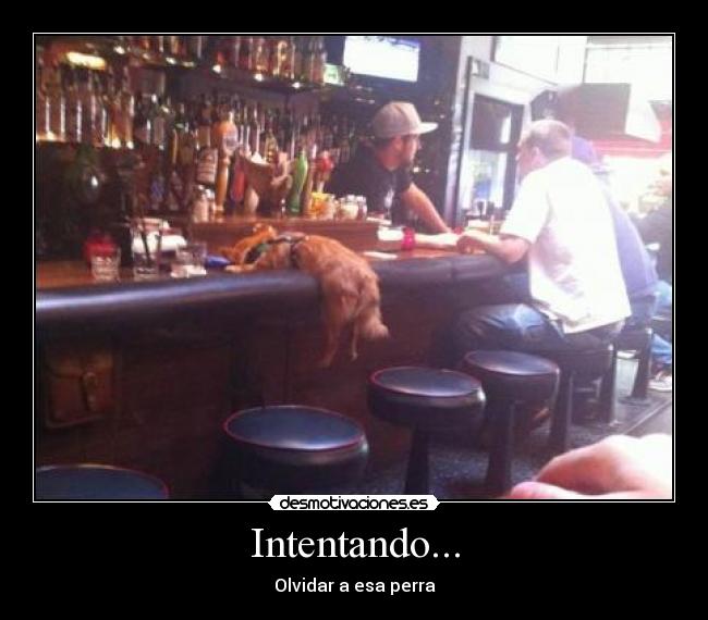Intentando... - Olvidar a esa perra
