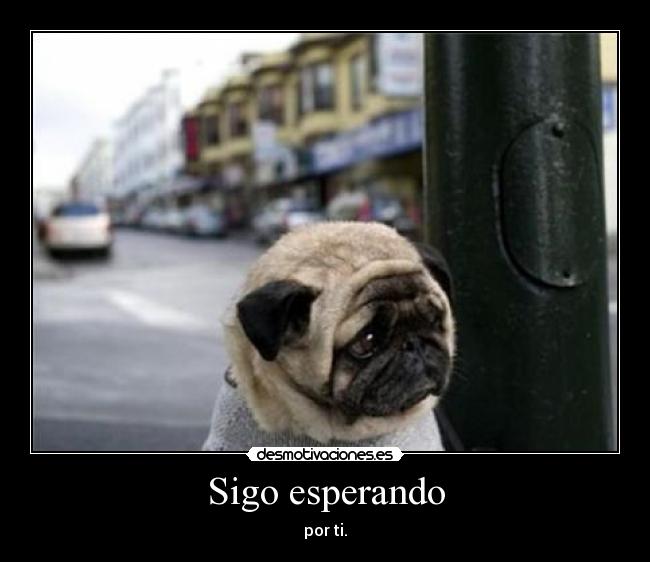 Sigo esperando - por ti.