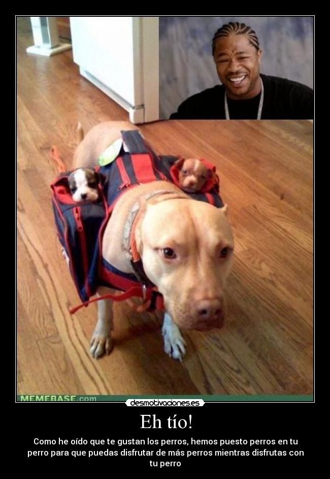 Eh tío! - Como he oído que te gustan los perros, hemos puesto perros en tu
perro para que puedas disfrutar de más perros mientras disfrutas con
tu perro