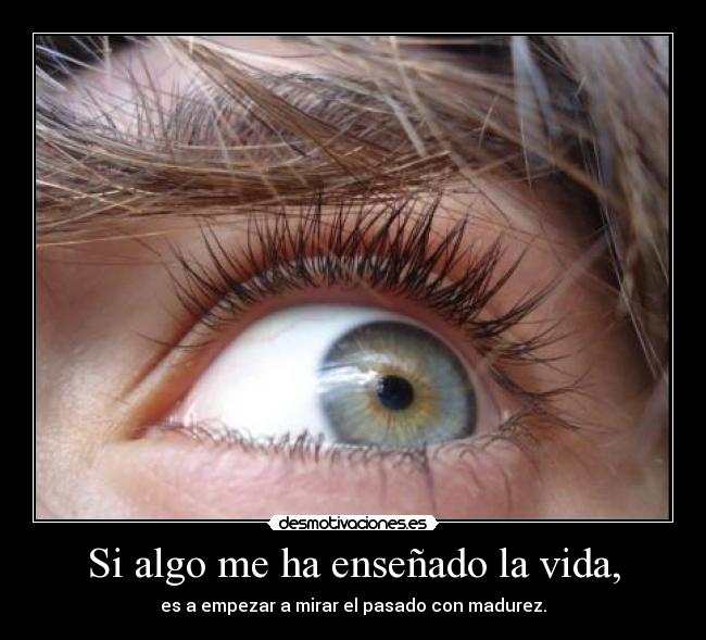 carteles vida lalocuna intruders flipytaker quiero principe eres increible desmotivaciones