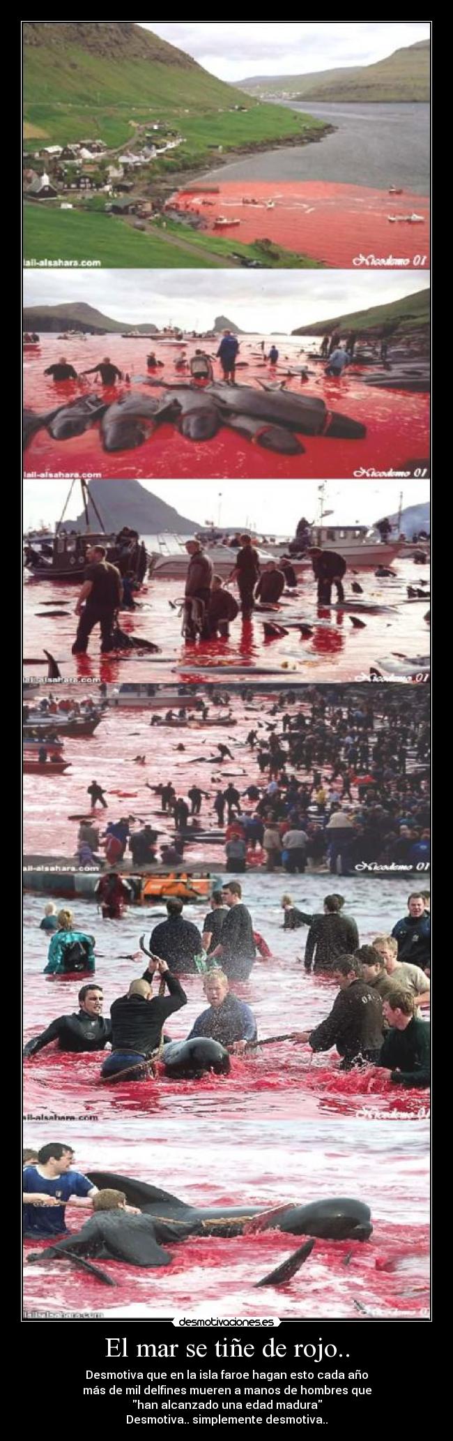 El mar se tiñe de rojo.. -