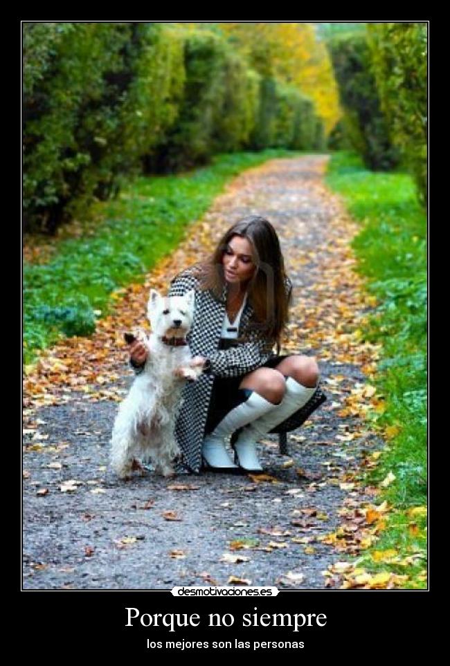 Porque no siempre - 