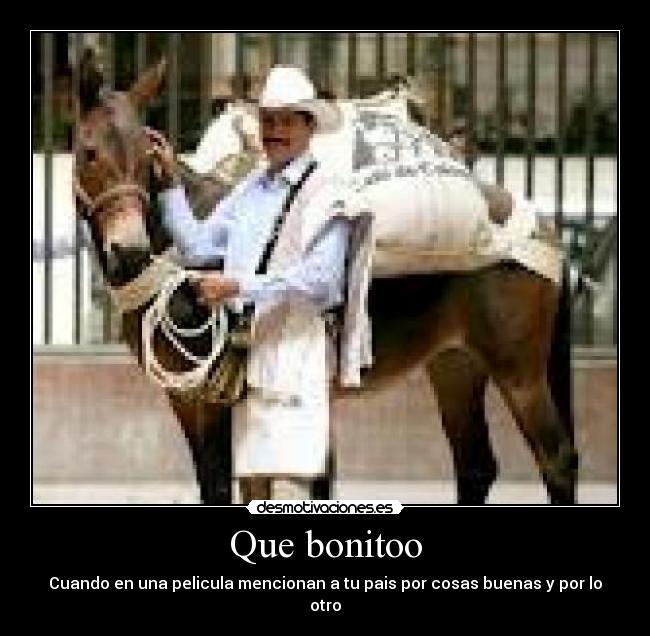 carteles bonito desmotivaciones