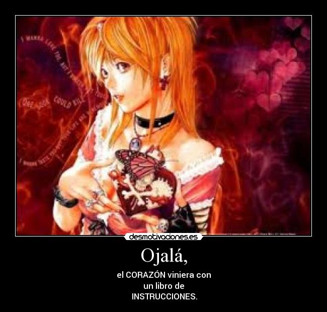 Ojalá, - el CORAZÓN viniera con
un libro de
INSTRUCCIONES.