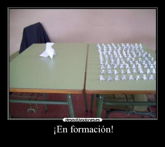 ¡En formación! -