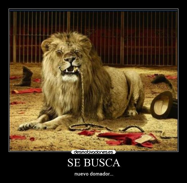 SE BUSCA -