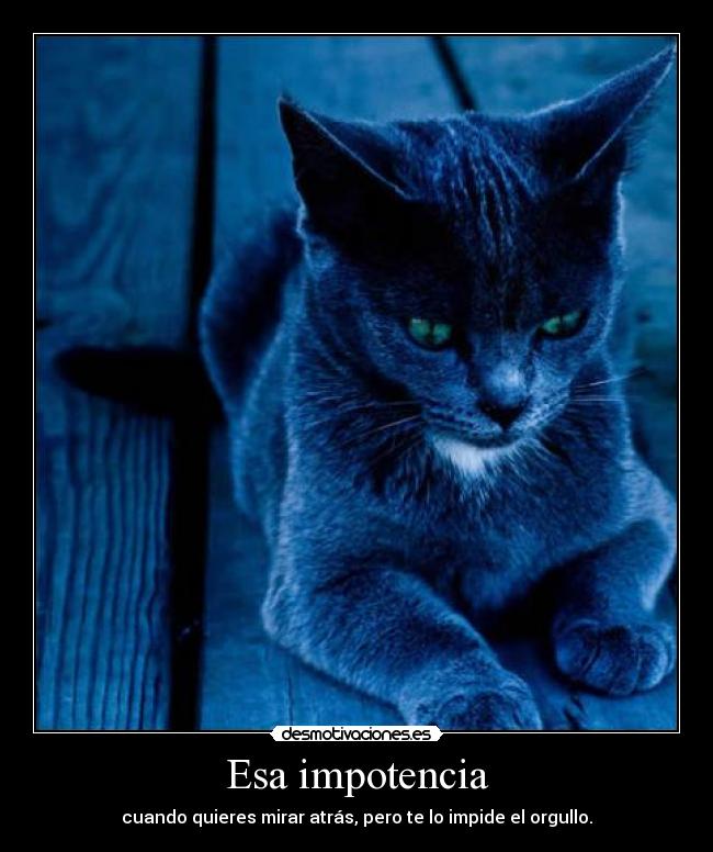 Esa impotencia - 