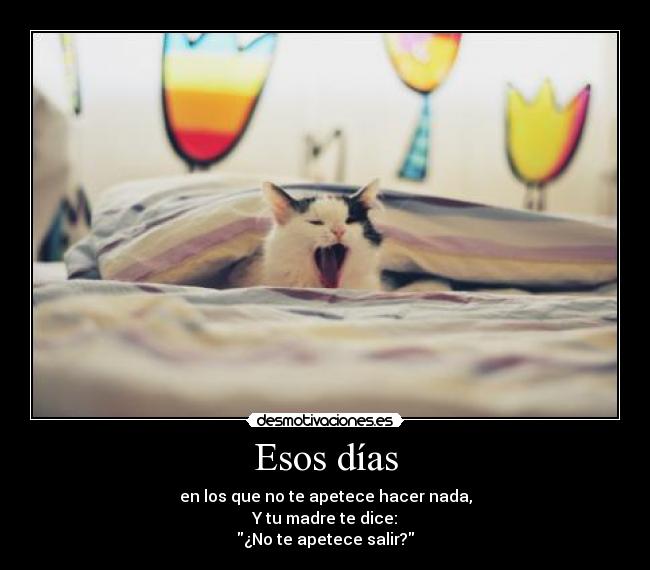 Esos días - en los que no te apetece hacer nada,
Y tu madre te dice:
¿No te apetece salir?