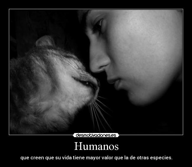 Humanos - 