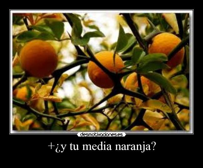 +¿y tu media naranja? -