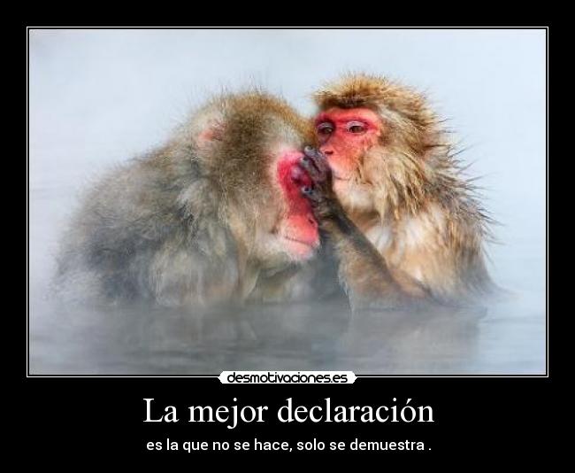La mejor declaración - es la que no se hace, solo se demuestra .
