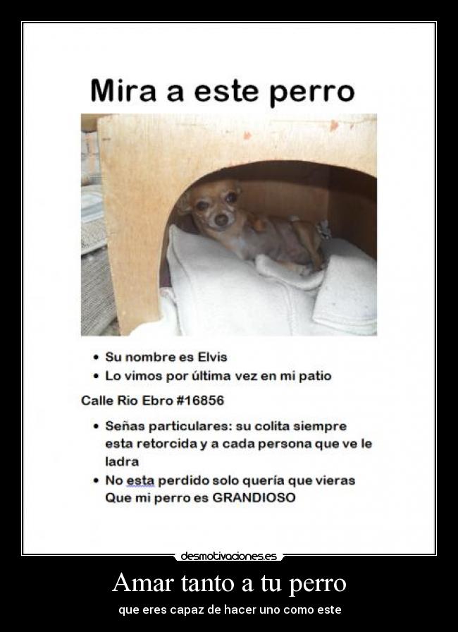 Amar tanto a tu perro -