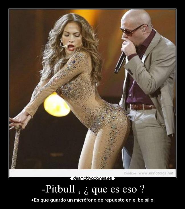 -Pitbull , ¿ que es eso ? -