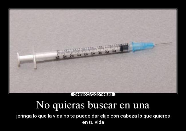 No quieras buscar en una - 