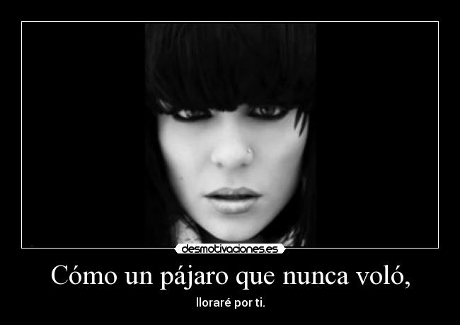 Cómo un pájaro que nunca voló, - lloraré por ti.