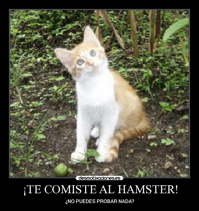 carteles jajaja desmotivaciones