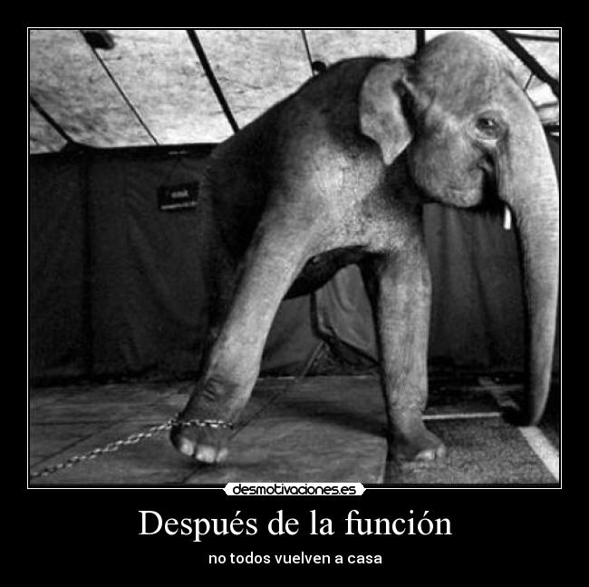 Después de la función - no todos vuelven a casa