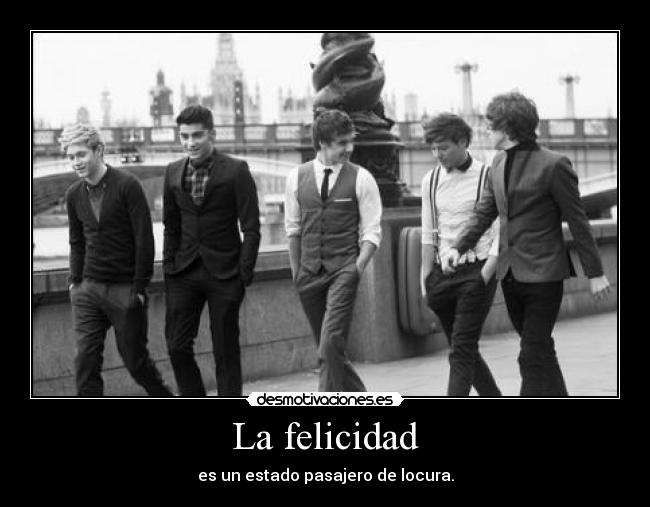 La felicidad - es un estado pasajero de locura.