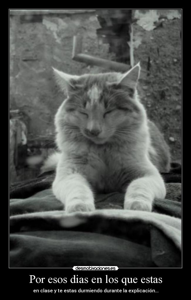 Por esos dias en los que estas - en clase y te estas durmiendo durante la explicación...