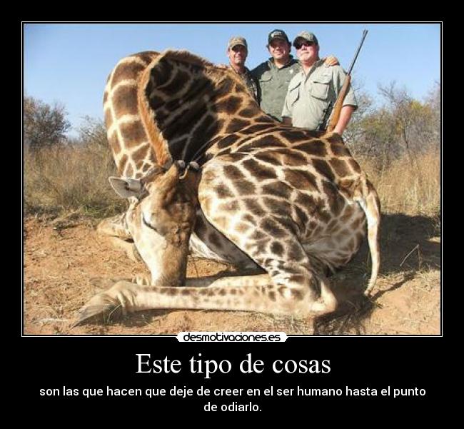 Este tipo de cosas -