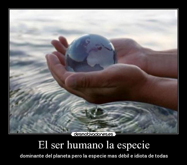 El ser humano la especie -