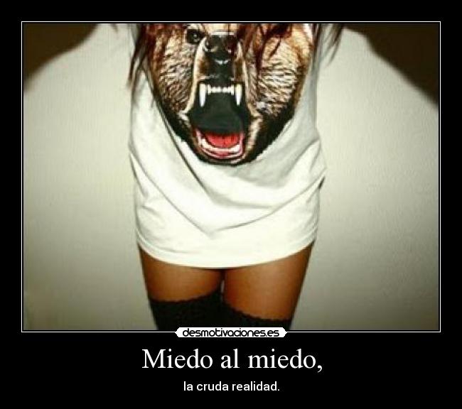 carteles miedo miedo yeah elclanviral yonotengoporquemostrartemisentimientosnipuedo miedo desmotivaciones