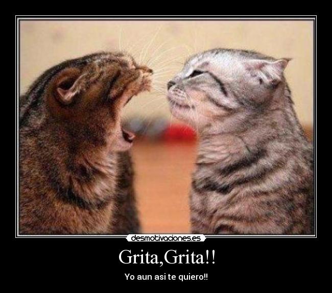 Grita,Grita!! - Yo aun asi te quiero!!