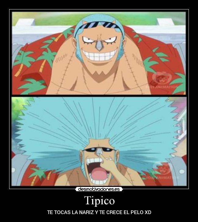 Tipico -
