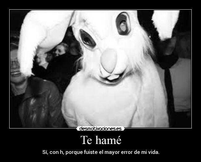 Te hamé - Sí, con h, porque fuiste el mayor error de mi vida.