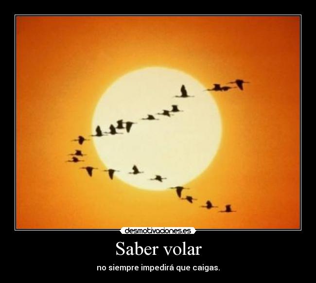 Saber volar - 