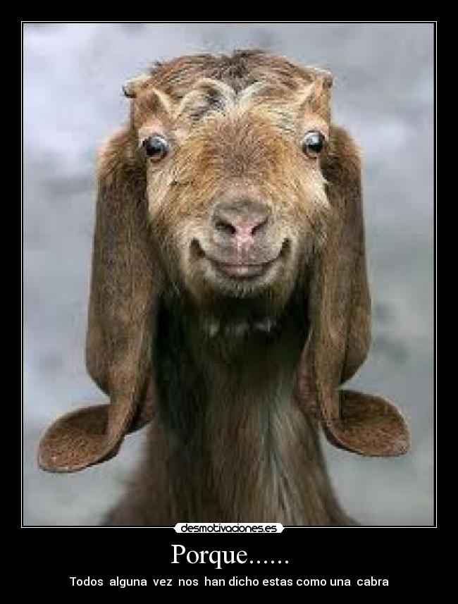 Porque...... - Todos  alguna  vez  nos  han dicho estas como una  cabra