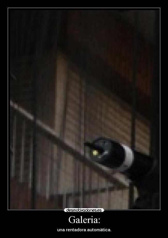 Galeria: - una rentadora automàtica.