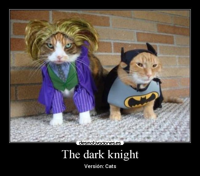 The dark knight - Versión: Cats
