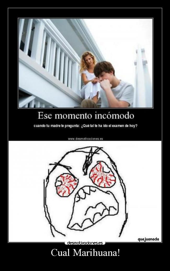 Cual Marihuana! - 