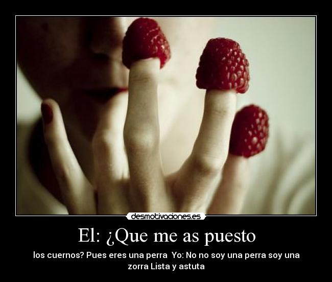 El: ¿Que me as puesto - los cuernos? Pues eres una perra Yo: No no soy una perra soy una
zorra Lista y astuta
