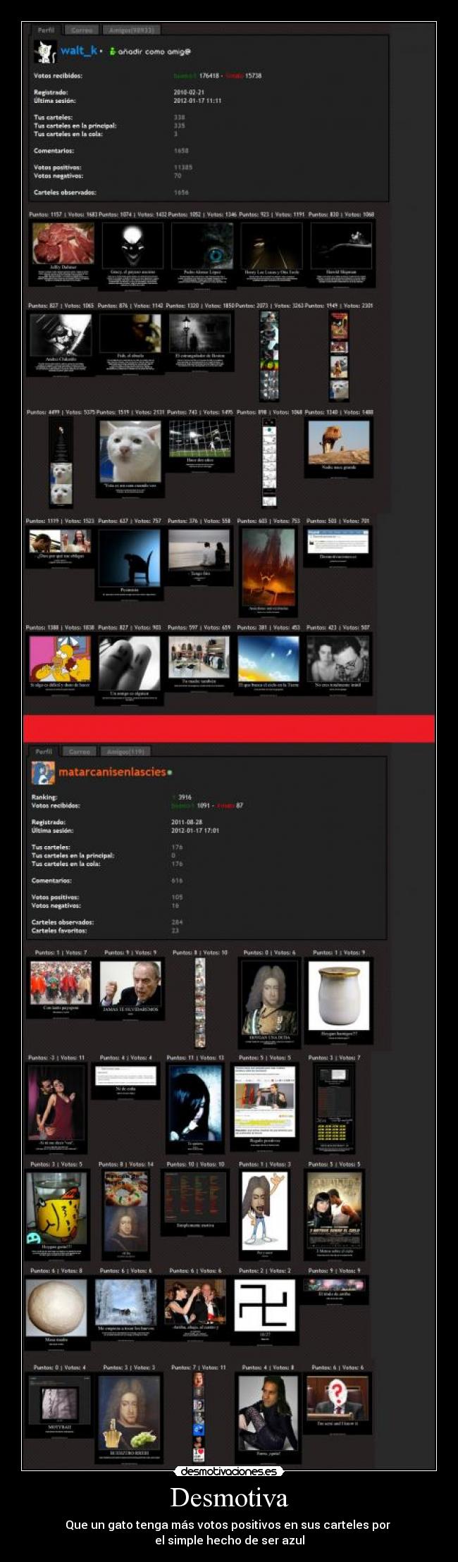 Desmotiva - Que un gato tenga más votos positivos en sus carteles por
el simple hecho de ser azul